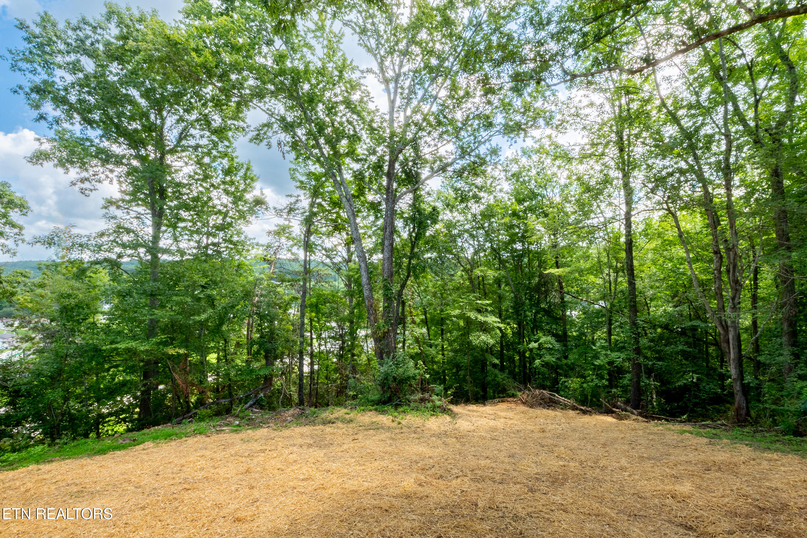 200 Burnett Lane Oneida, TN 37841 - Photo 35 of 36 200 Burnett Ln Oneida, TN DSC_4914-HDR