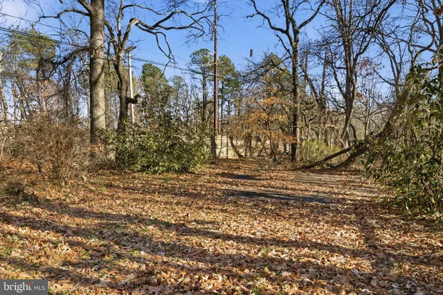 a view of a yard with large trees
