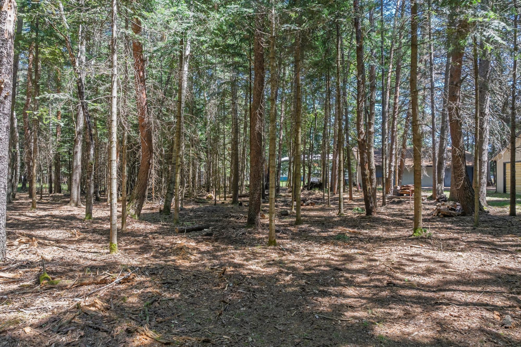 Lot 1 Gehrke Road Woodruff, WI 54568 - Photo 8 of 24 Gallery Image 8