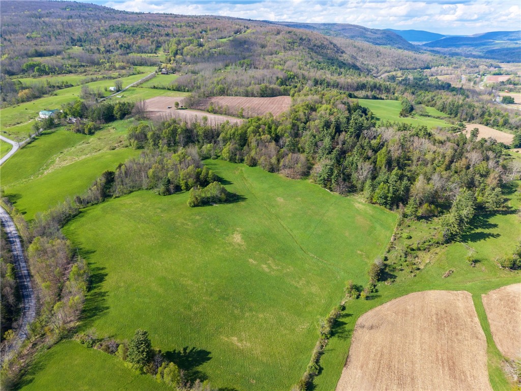 Westkill Road North Blenheim, NY 12131 - Photo 2 of 38
