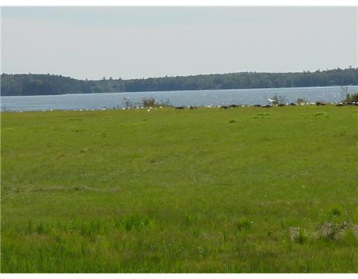 28 River Road Cushing, ME 04563 - Photo 2 of 35 Water view. Gulls on the edge of the...