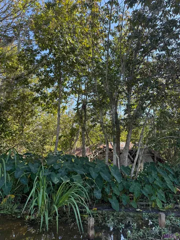 $85,000 | 660 Alligator Bayou, Maurepas, LA 70449