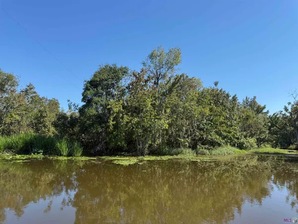 $85,000 | 660 Alligator Bayou, Maurepas, LA 70449