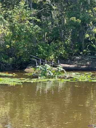 $85,000 | 660 Alligator Bayou, Maurepas, LA 70449