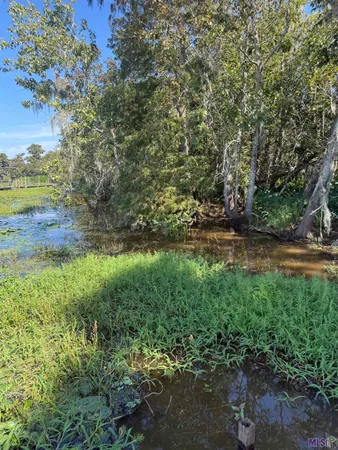 $85,000 | 660 Alligator Bayou, Maurepas, LA 70449