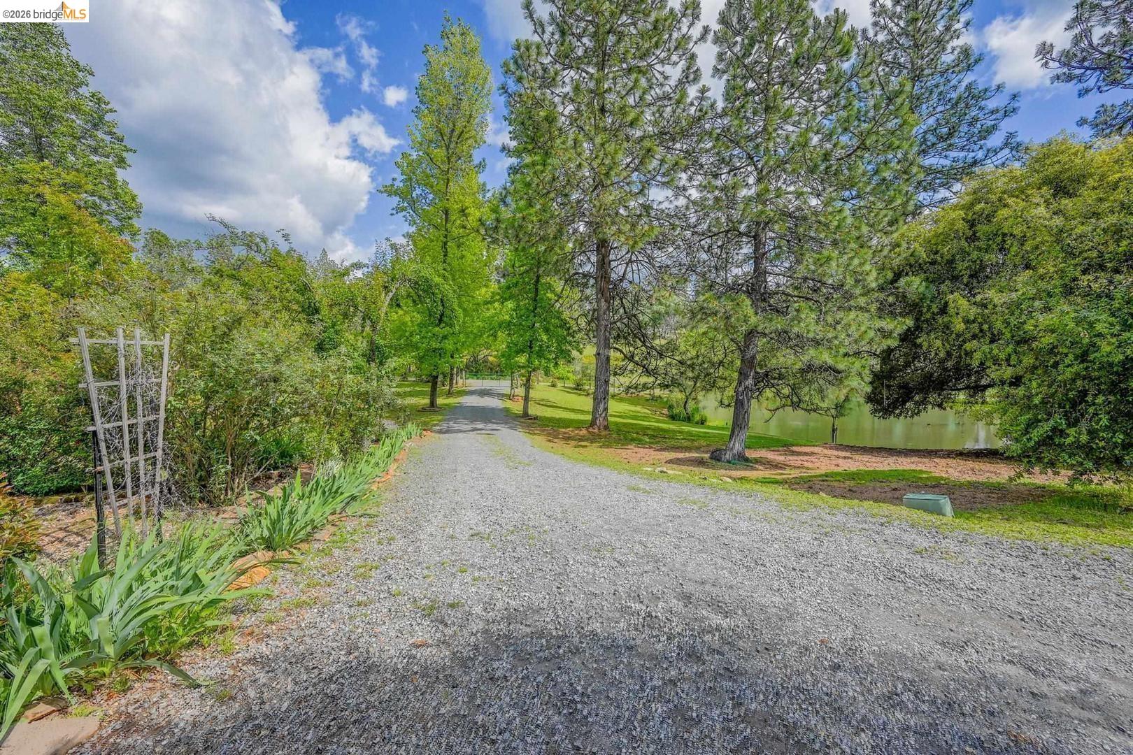 1750 Sliger Mine Road Greenwood, CA 95635 - Photo 44 of 62