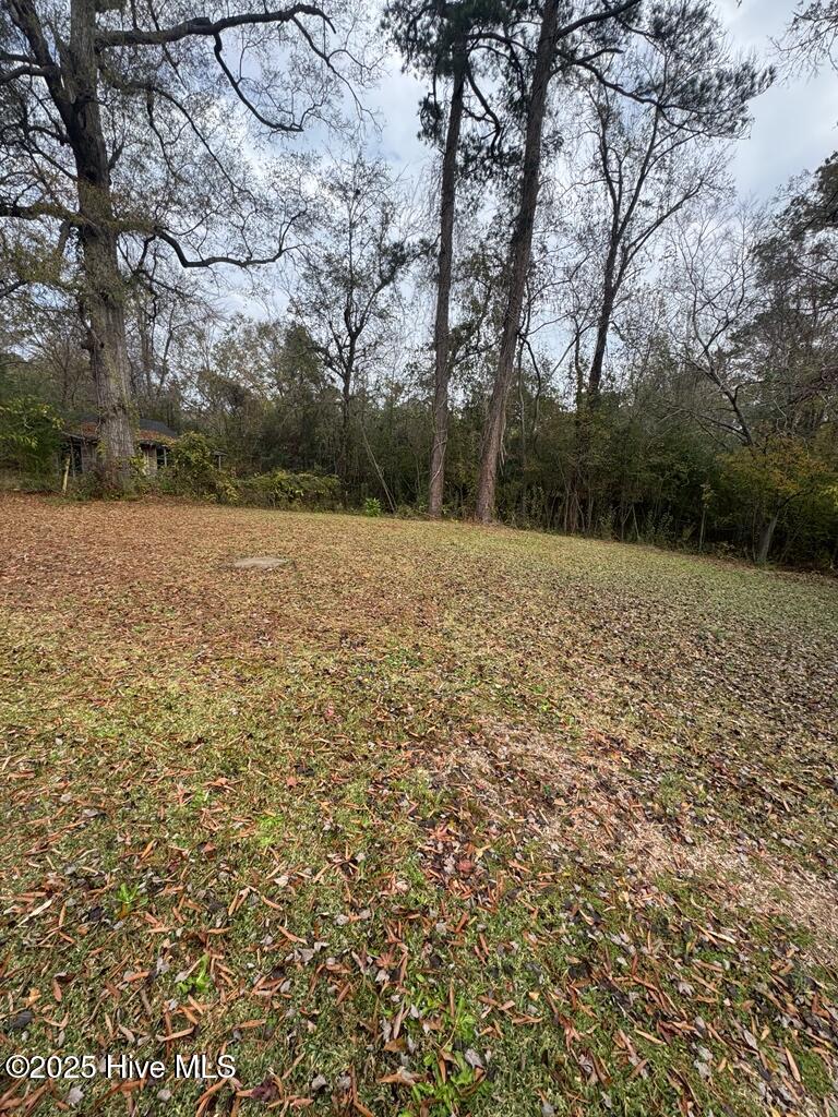 123 Arthur Court Jacksonville, NC 28546 - Photo 13 of 13 Backyard