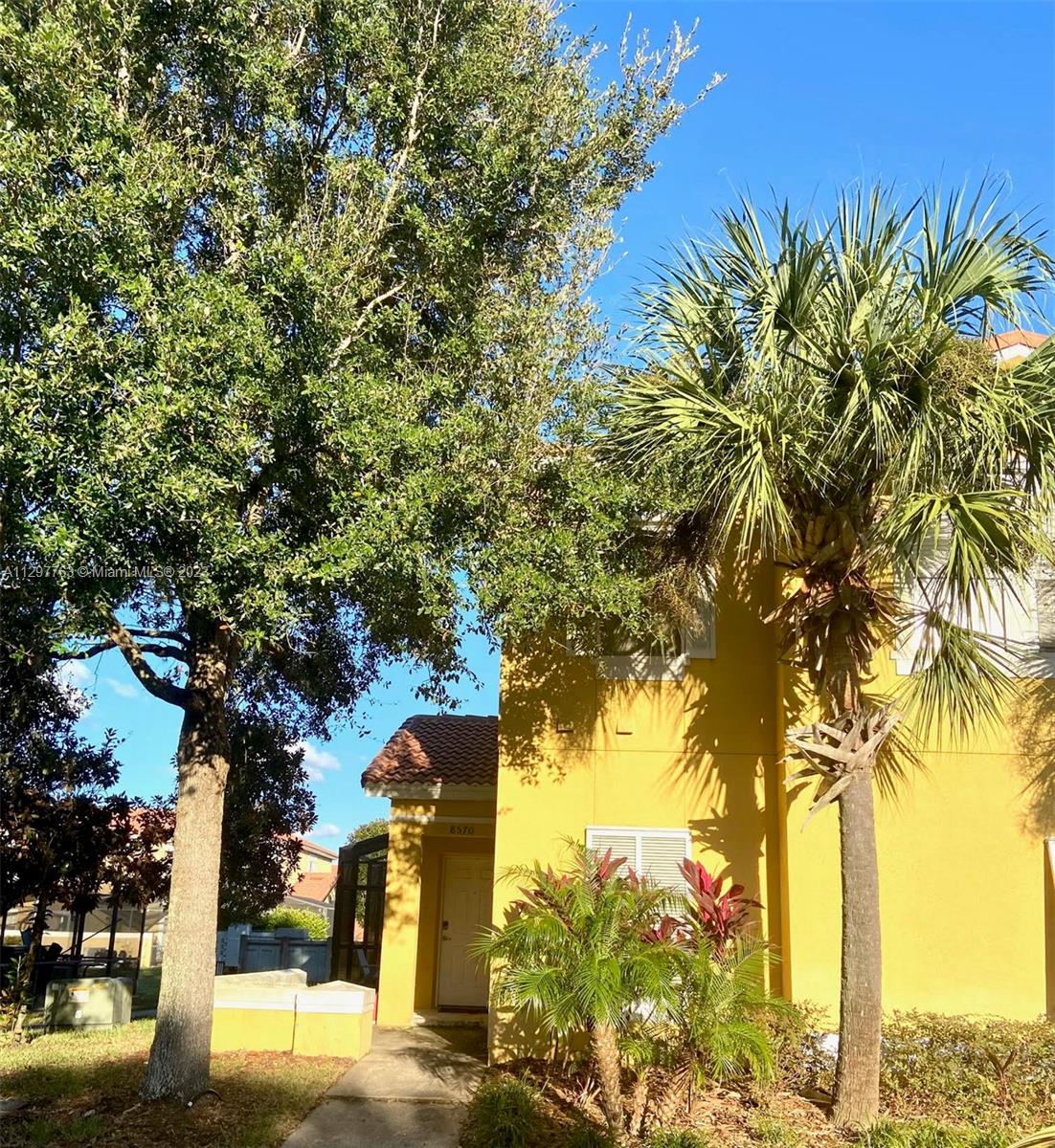 a view of a trees with outside area