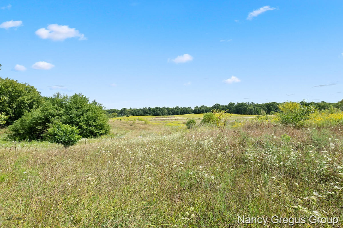 4350 Buehler Road Hastings, MI 49058 - Photo 5 of 20 IMG_1020