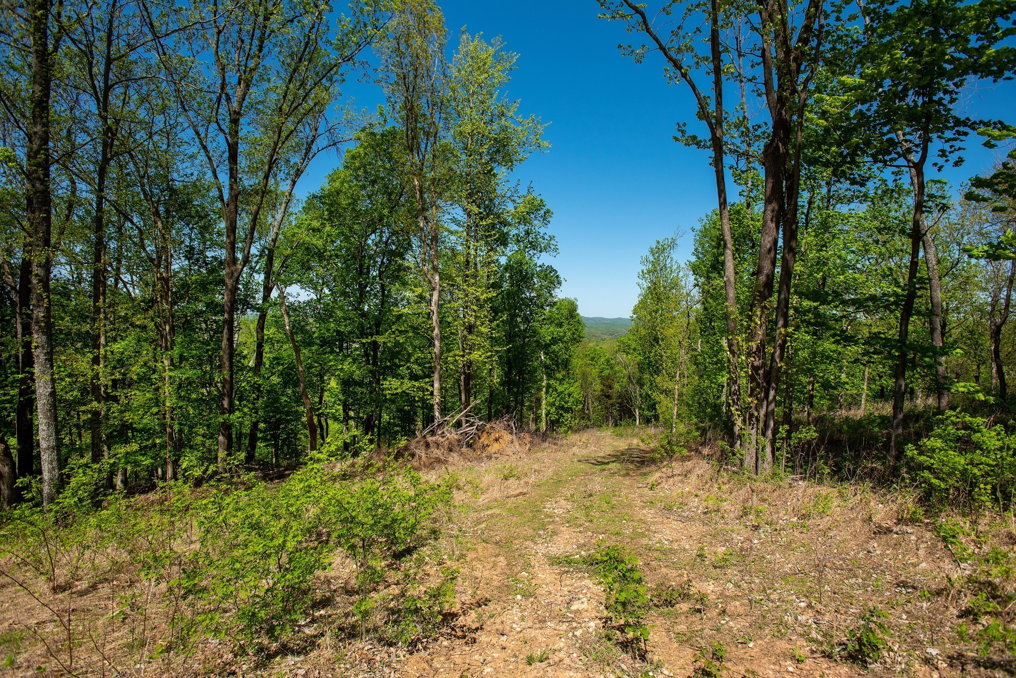 3868 Sherrilltown Road Watertown, TN 37184 - Photo 12 of 22 Gallery Image 12