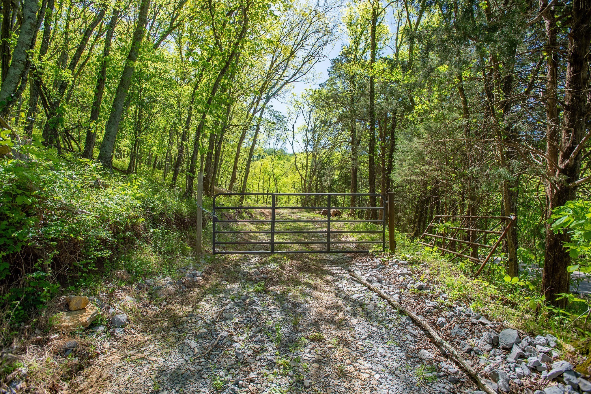 3868 Sherrilltown Road Watertown, TN 37184 - Photo 13 of 22 Gallery Image 13