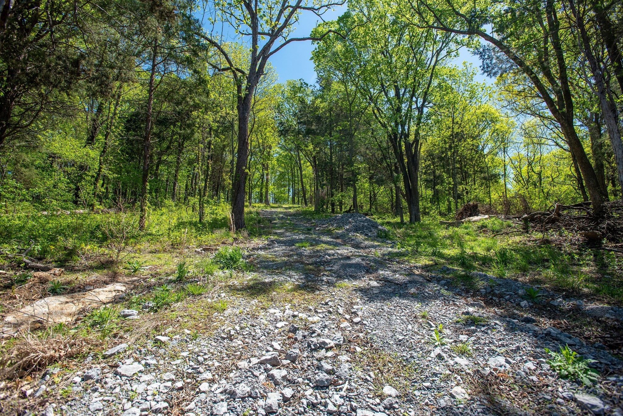 3868 Sherrilltown Road Watertown, TN 37184 - Photo 15 of 22 Gallery Image 15