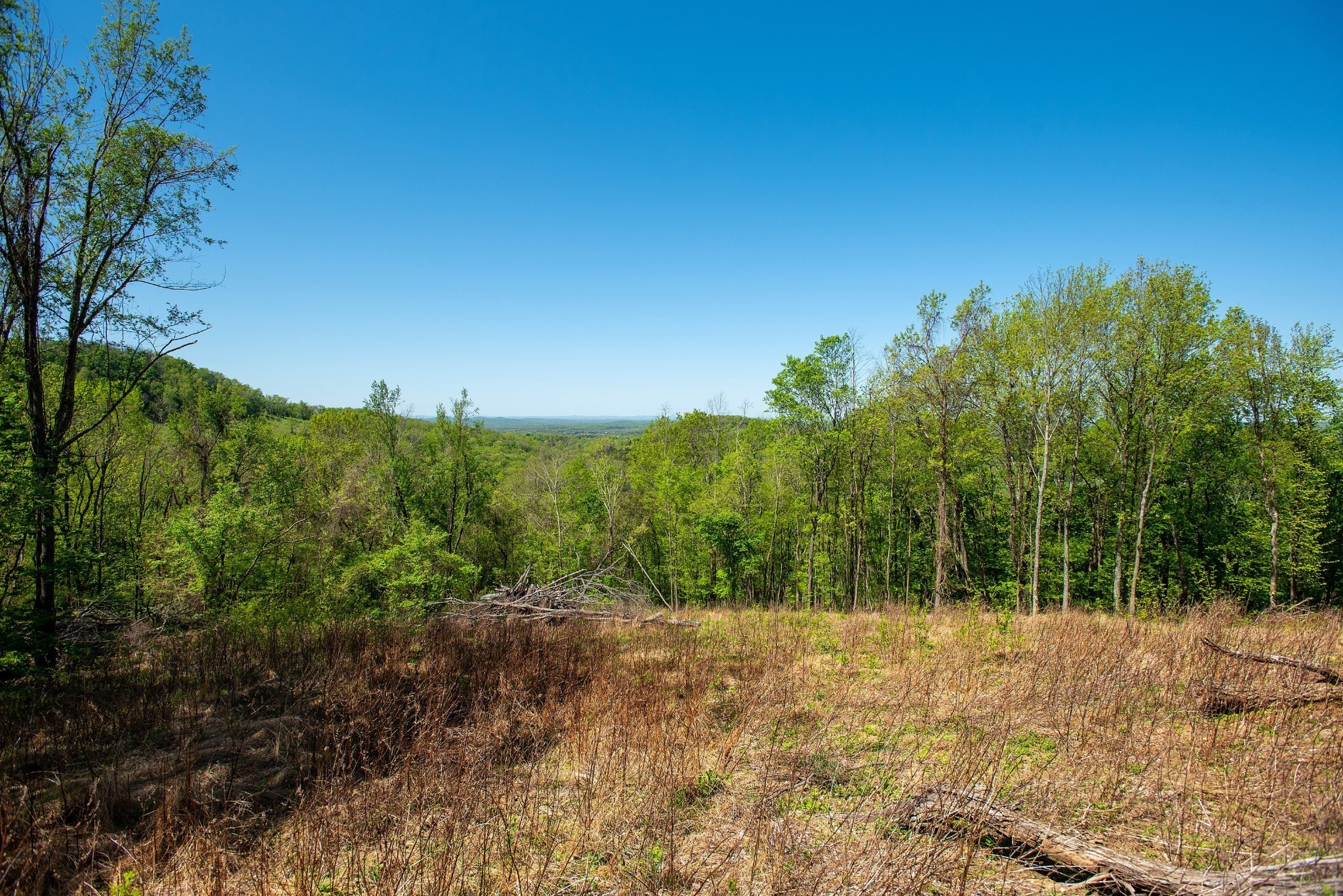 3868 Sherrilltown Road Watertown, TN 37184 - Photo 6 of 22 Gallery Image 6