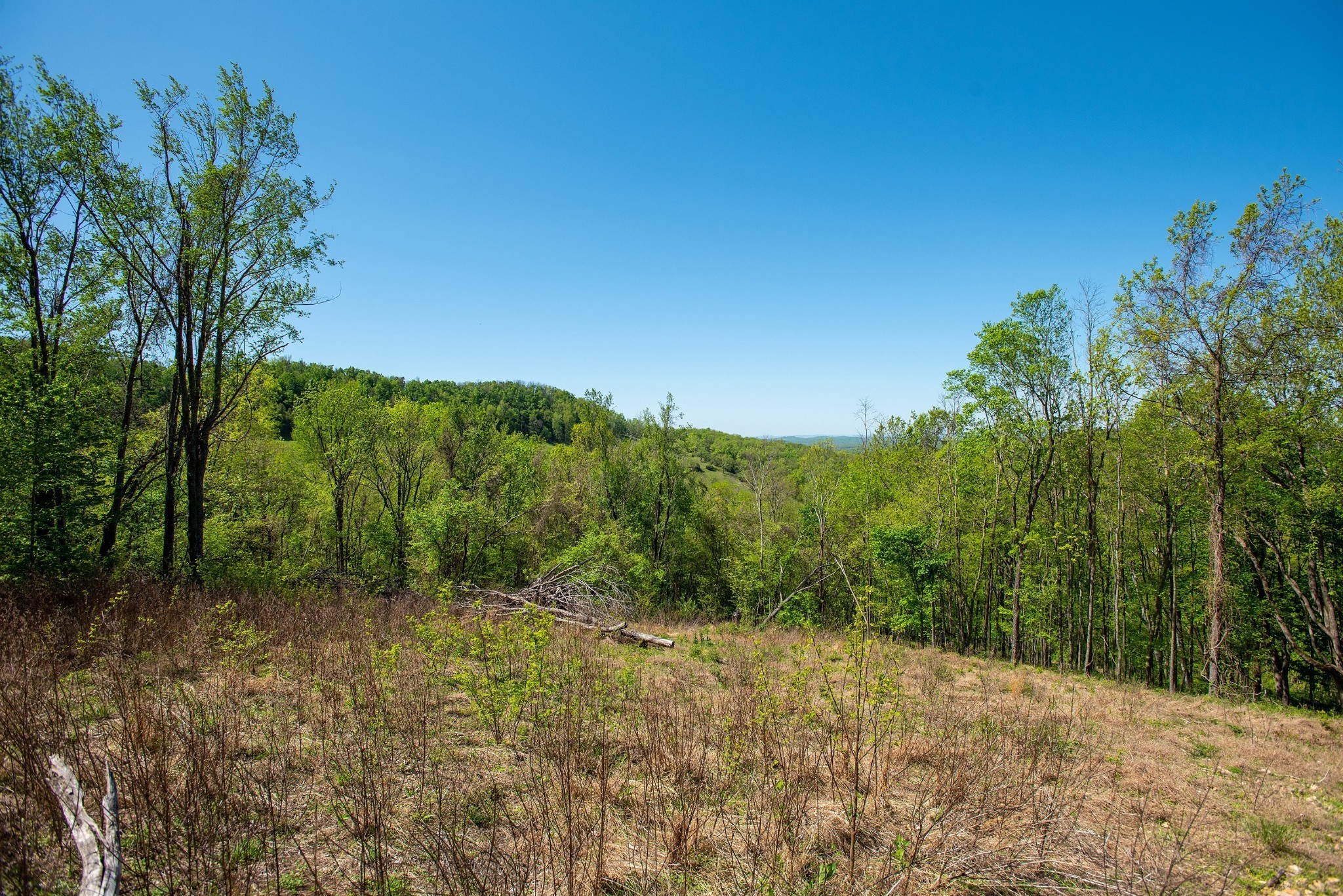 3868 Sherrilltown Road Watertown, TN 37184 - Photo 7 of 22 Gallery Image 7