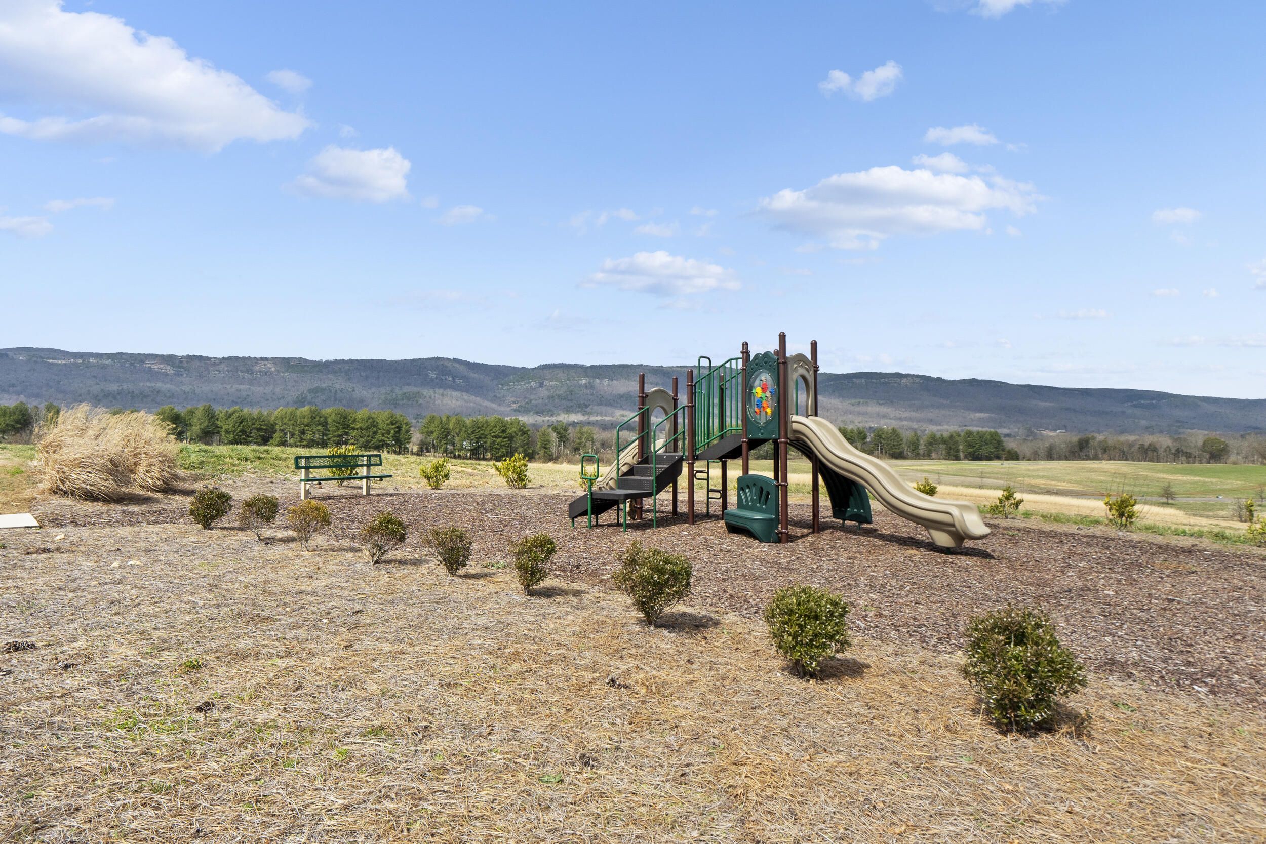 61 River Ridge Drive Dunlap, TN 37327 - Photo 18 of 30 Community Park