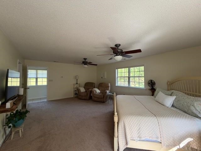 11075 Highway 57 Moscow, TN 38057 - Photo 15 of 39 a bedroom with a bed and a chandelier