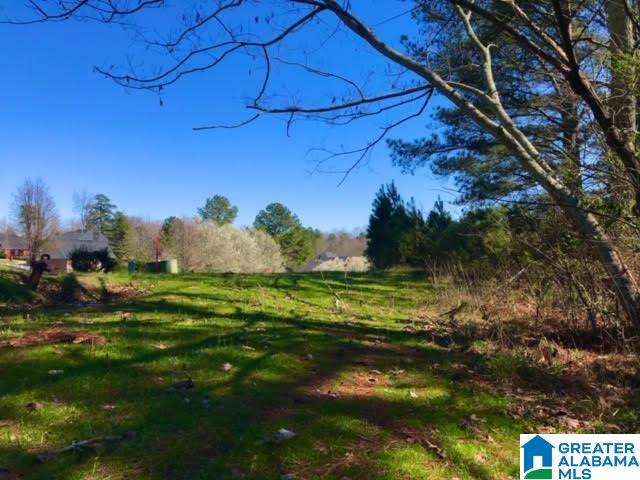 0 Teem Road, Unit 32A Cullman, AL 35057 - Photo 1 of 14