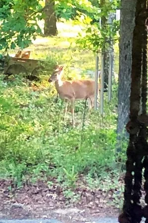 $199,000 | 632 County Road 2915, Eustace, TX 75124