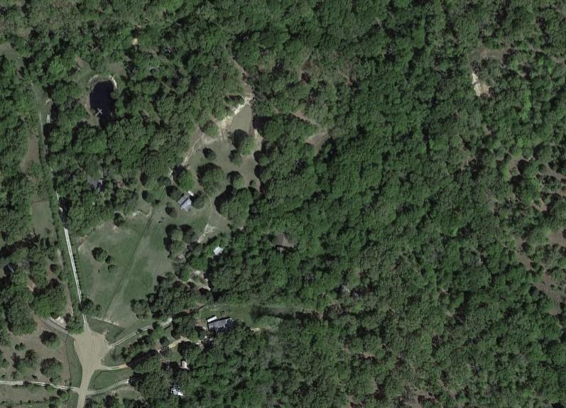 632 County Road 2915 Eustace, TX 75124 - Photo 4 of 5 a view of a forest