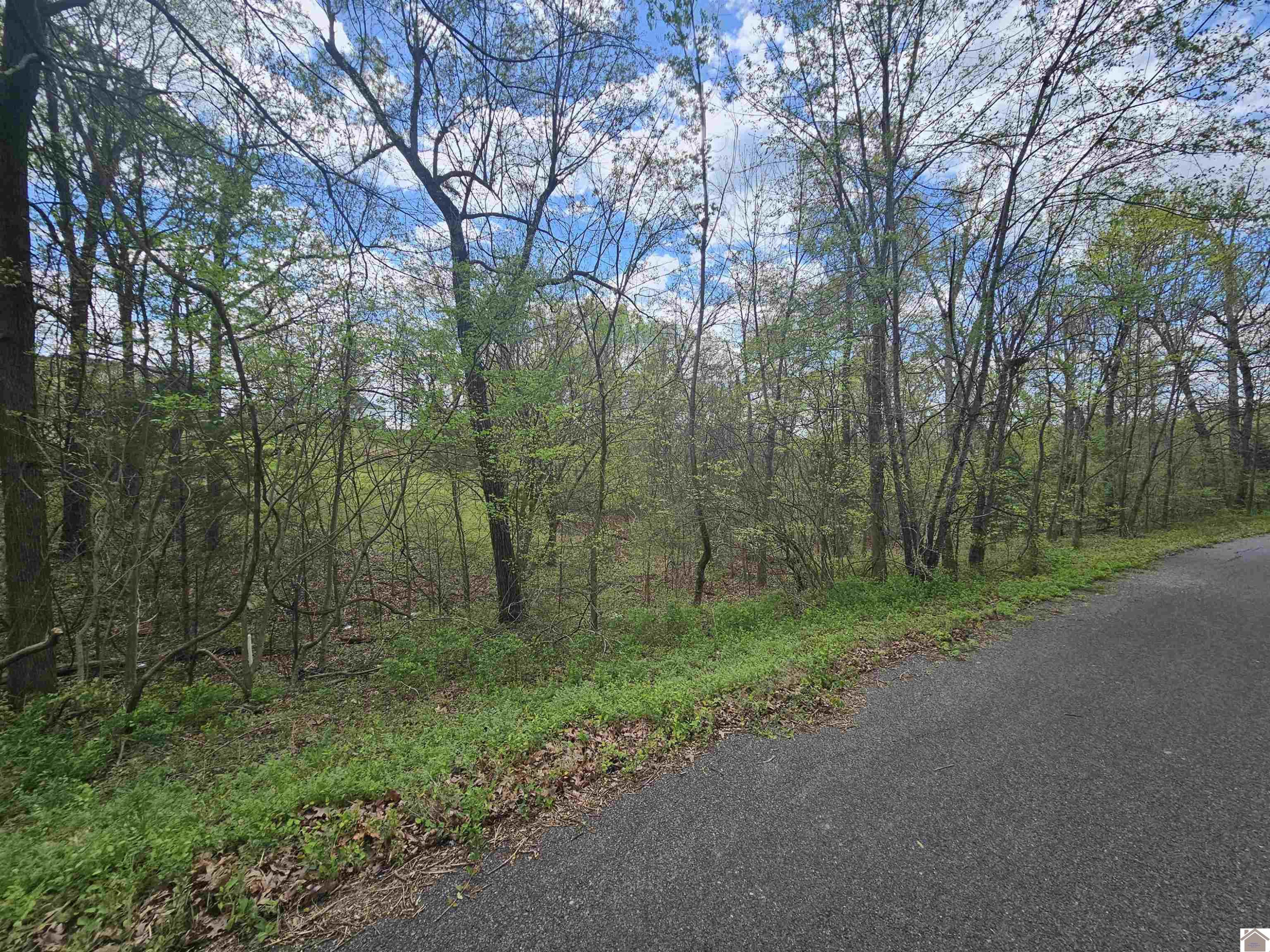 0 Fawn Road, Unit 10 Smithland, KY 42081 - Photo 2 of 6 Photo 2