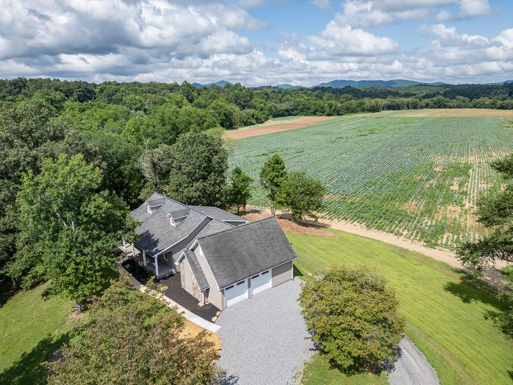 96 W Road Warne, NC 28909 - Photo 4 of 79 Gallery Image 4