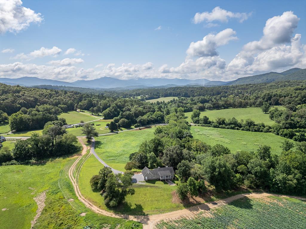 96 W Road Warne, NC 28909 - Photo 50 of 79 Gallery Image 50