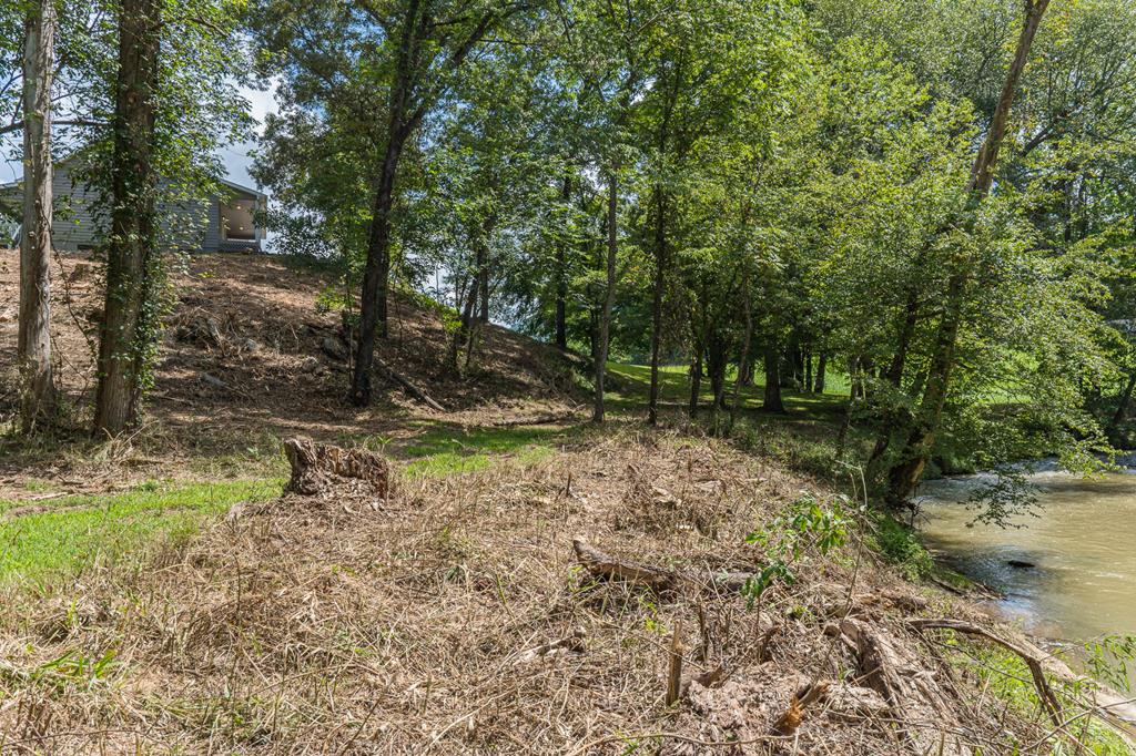 96 W Road Warne, NC 28909 - Photo 55 of 79 Gallery Image 55
