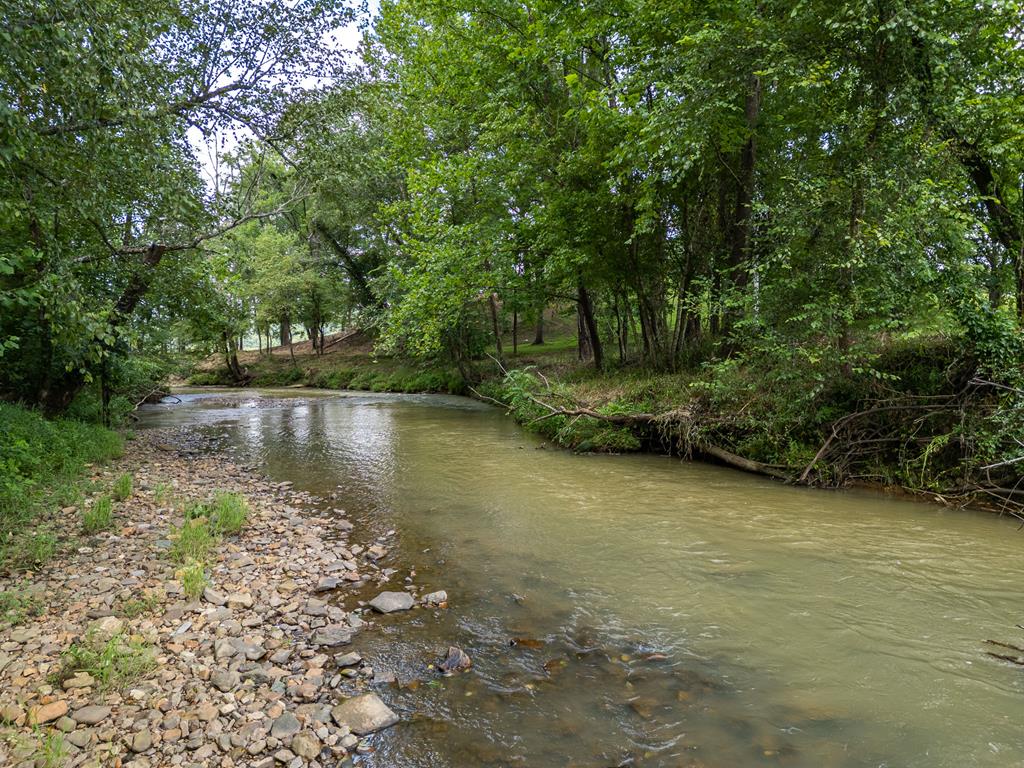 96 W Road Warne, NC 28909 - Photo 68 of 79 Gallery Image 68