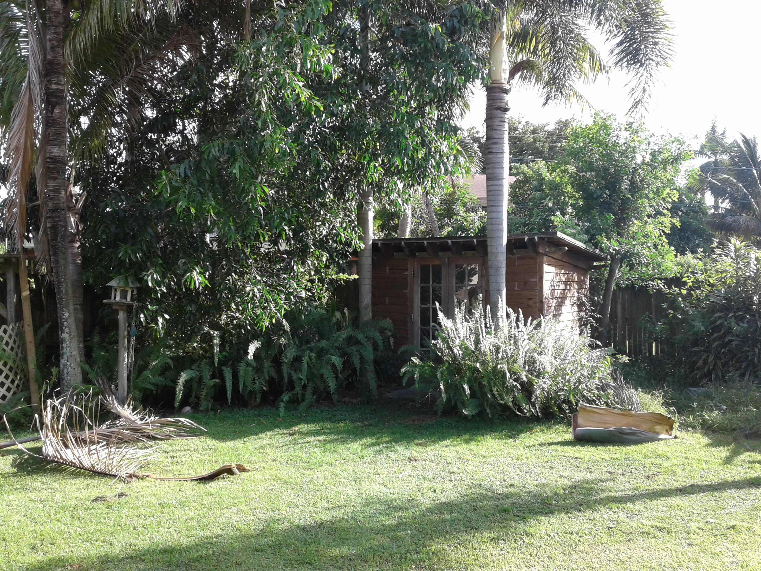 5422 Garfield Road Delray Beach, FL 33484 - Photo 9 of 18 shed full of tools