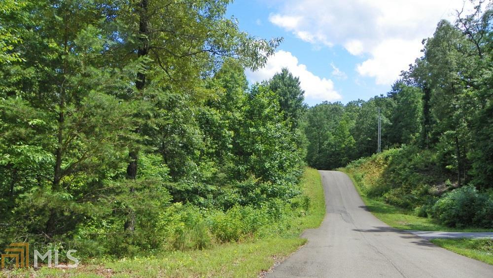 10 Little Sugar Creek Blue Ridge, GA 30513 - Photo 1 of 1