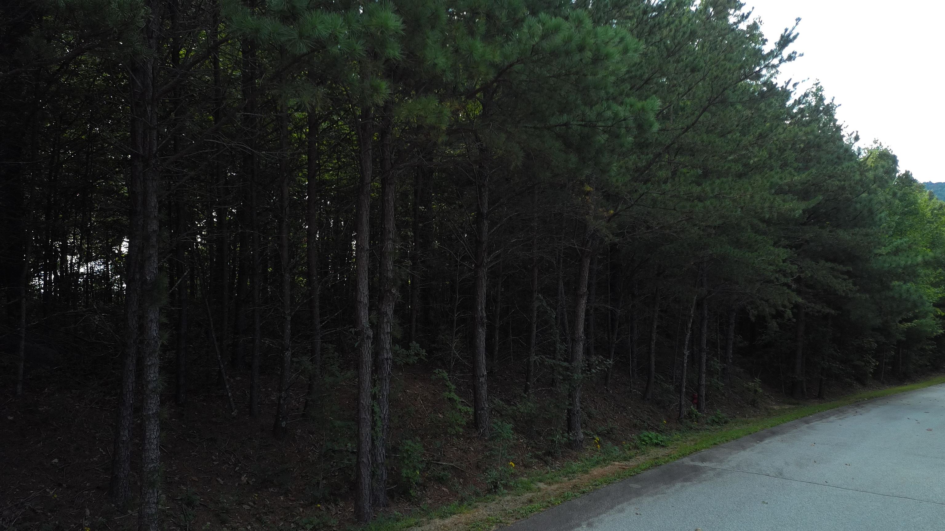 275 Kincaid Pl Mill Spring Mill Spring, NC 28756 - Photo 12 of 27 Gallery Image 12