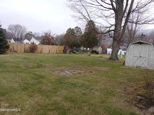 a view of a field with large trees