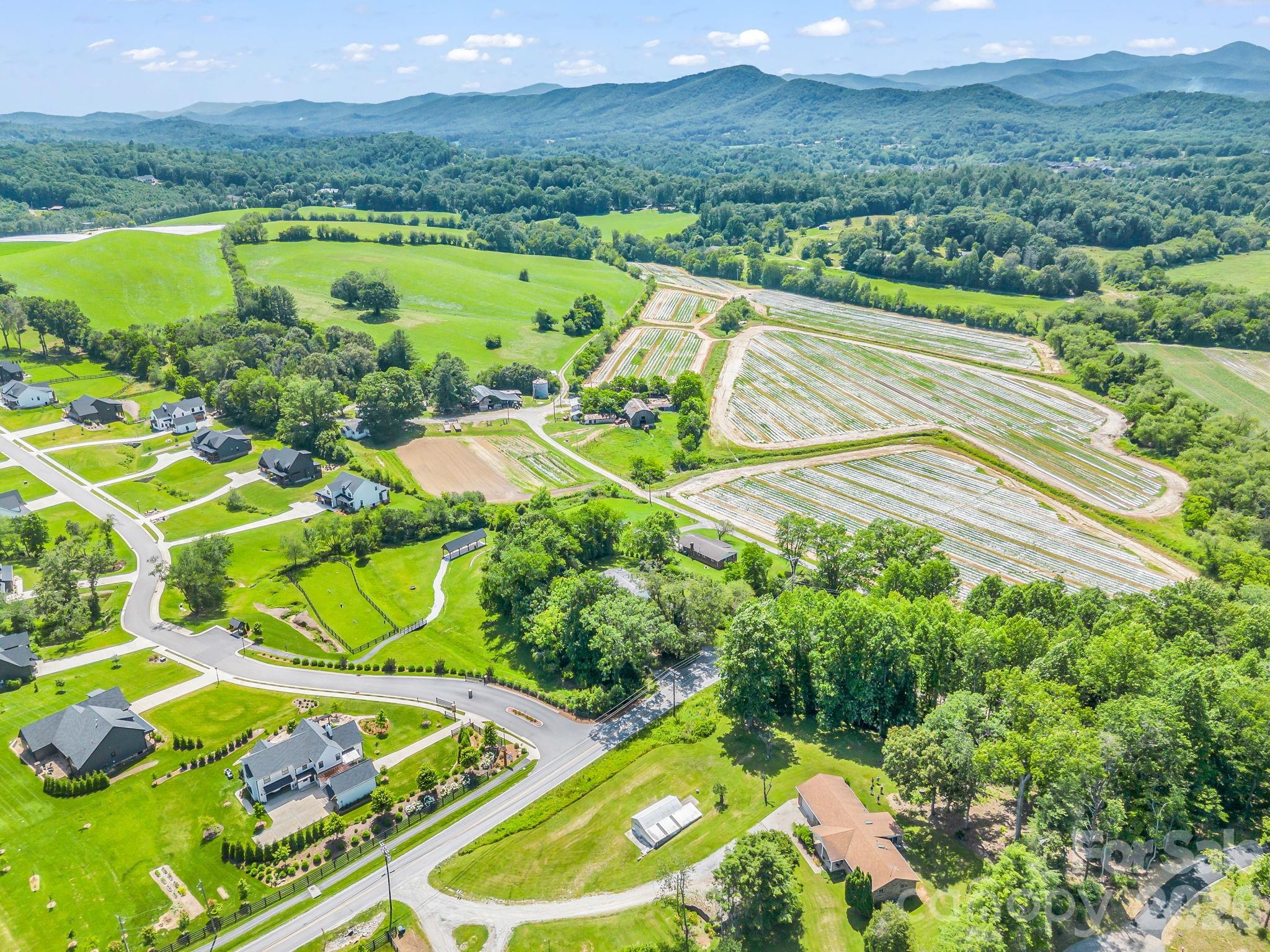 210 Banner Farm Road Mills River, NC 28759 - Photo 48 of 48