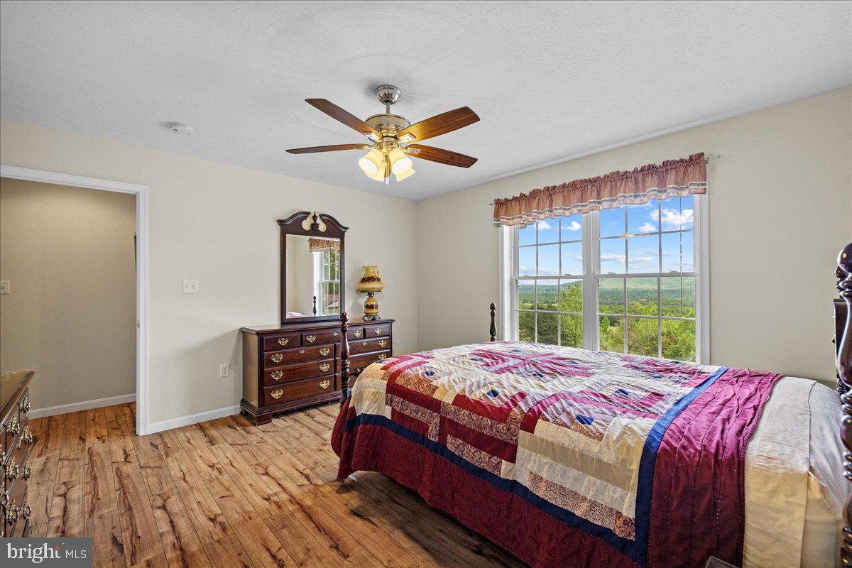 456 Brill Road Star Tannery, VA 22654 - Photo 18 of 38 Gallery Image 18