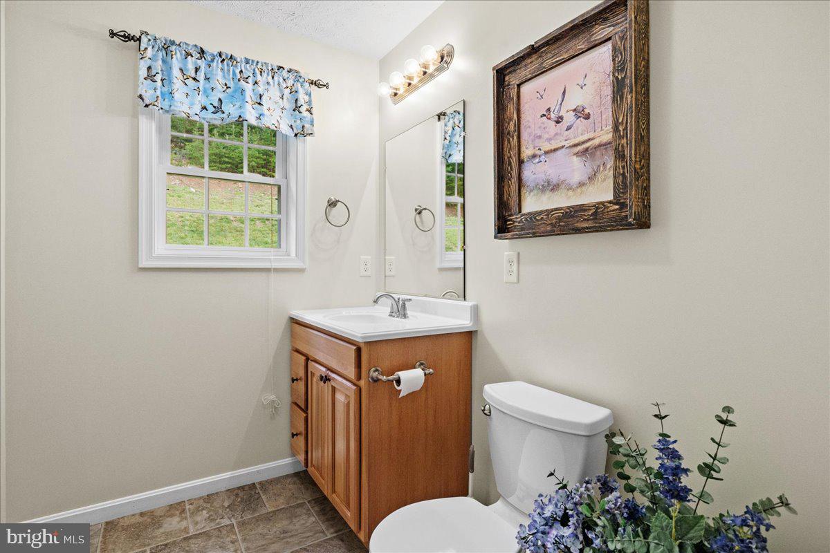 456 Brill Road Star Tannery, VA 22654 - Photo 20 of 38 Gallery Image 20