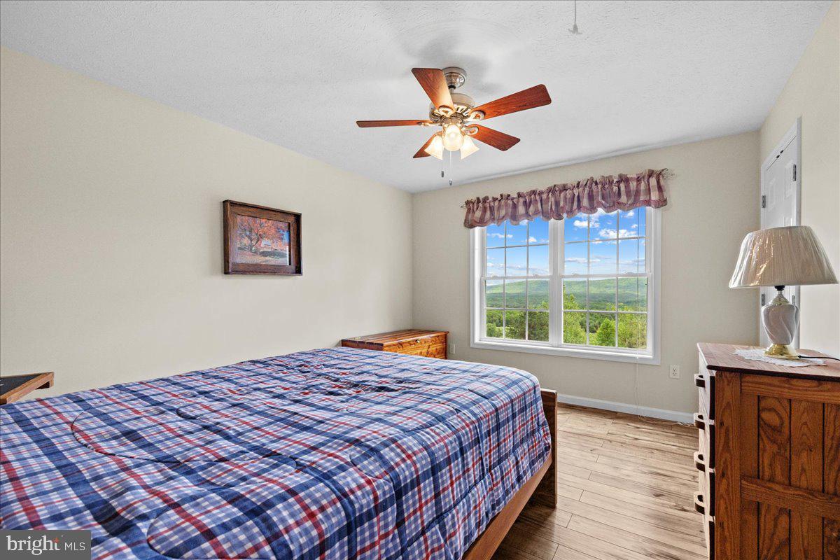456 Brill Road Star Tannery, VA 22654 - Photo 21 of 38 Gallery Image 21