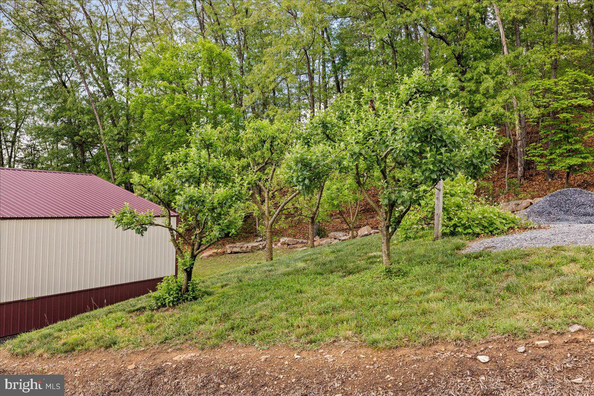 456 Brill Road Star Tannery, VA 22654 - Photo 29 of 38 Gallery Image 29