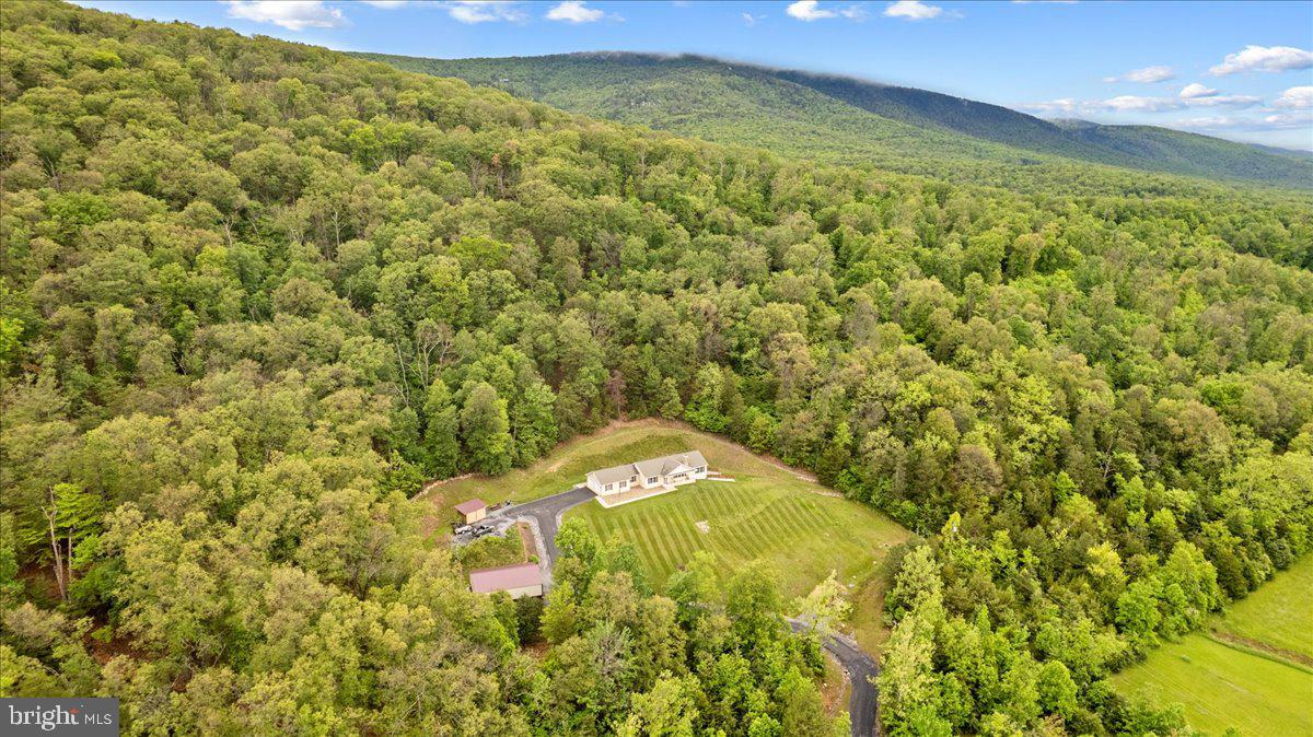 456 Brill Road Star Tannery, VA 22654 - Photo 33 of 38 Gallery Image 33