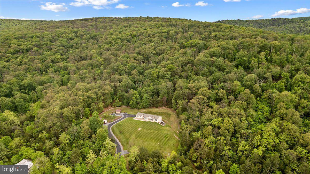 456 Brill Road Star Tannery, VA 22654 - Photo 35 of 38 Gallery Image 35