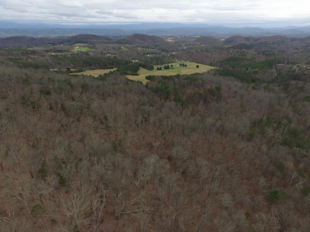 0 Reagan Valley Road Tellico Plains, TN 37385 - Photo 2 of 15 listing1041759photo183360