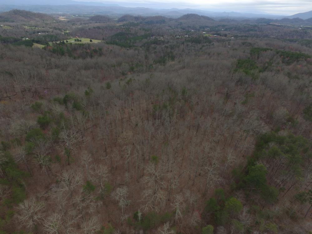 0 Reagan Valley Road Tellico Plains, TN 37385 - Photo 11 of 15 listing1041759photo207842
