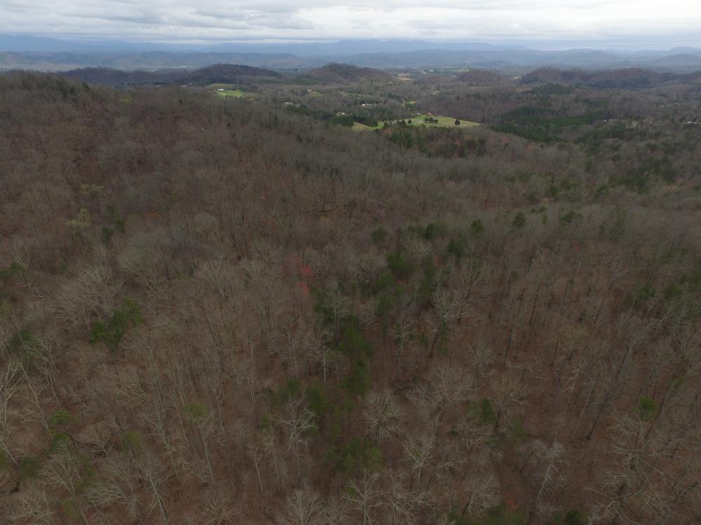 0 Reagan Valley Road Tellico Plains, TN 37385 - Photo 12 of 15 listing1041759photo269984