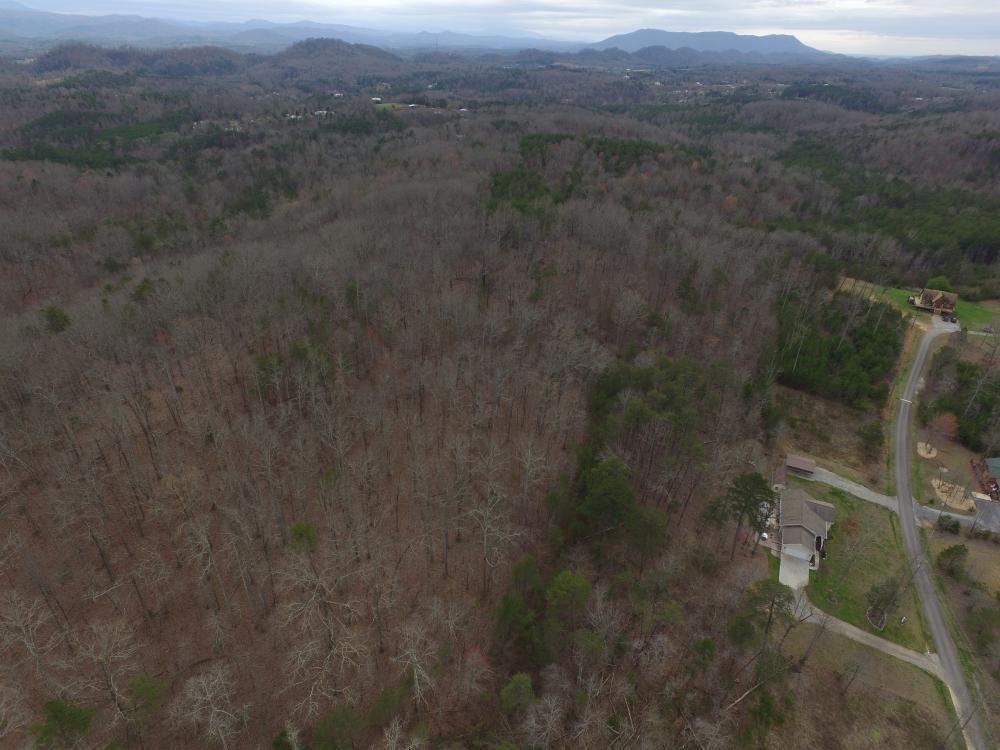 0 Reagan Valley Road Tellico Plains, TN 37385 - Photo 13 of 15 listing1041759photo277362