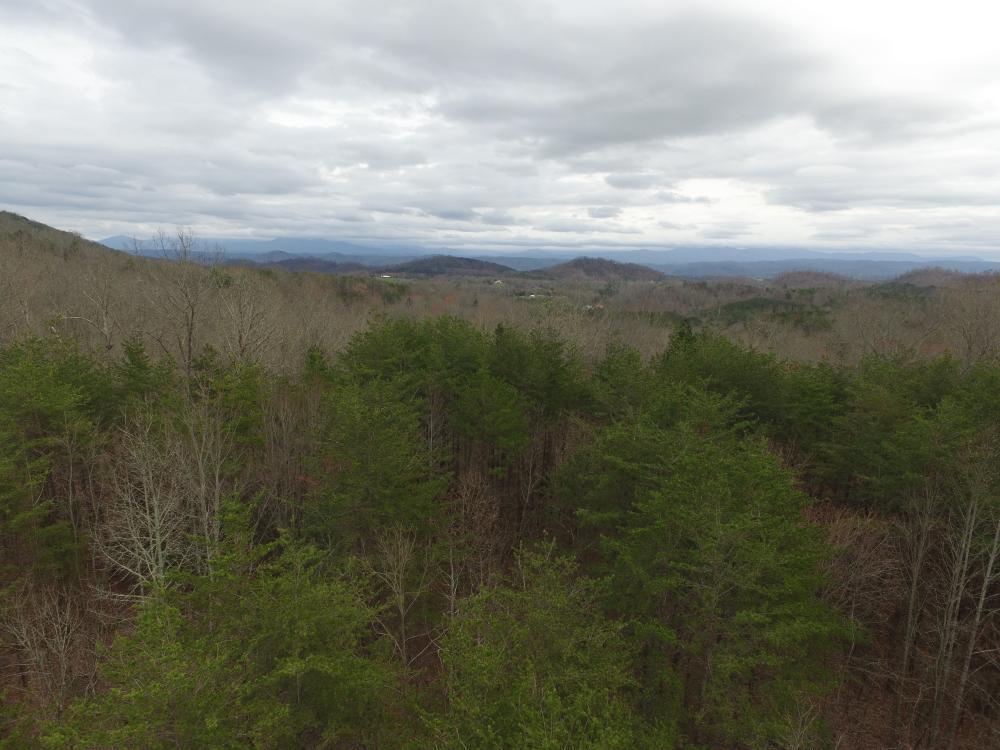 0 Reagan Valley Road Tellico Plains, TN 37385 - Photo 14 of 15 listing1041759photo361797