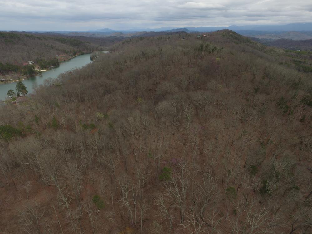 0 Reagan Valley Road Tellico Plains, TN 37385 - Photo 15 of 15 listing1041759photo1131928