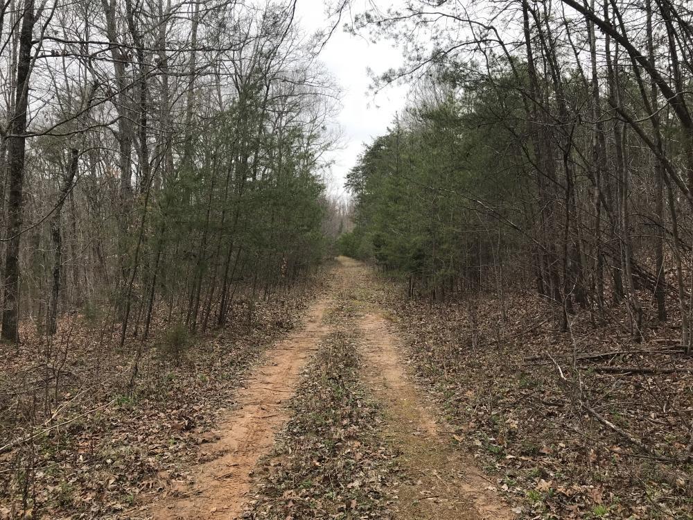 0 Reagan Valley Road Tellico Plains, TN 37385 - Photo 3 of 15 listing1041759photo281360