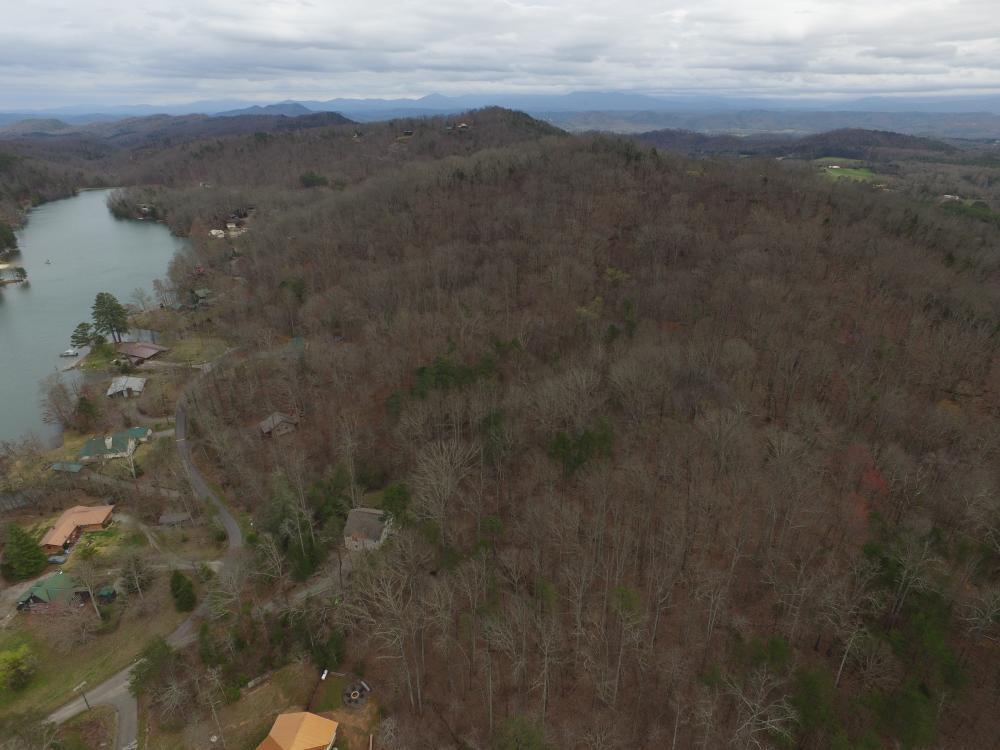 0 Reagan Valley Road Tellico Plains, TN 37385 - Photo 6 of 15 listing1041759photo631195