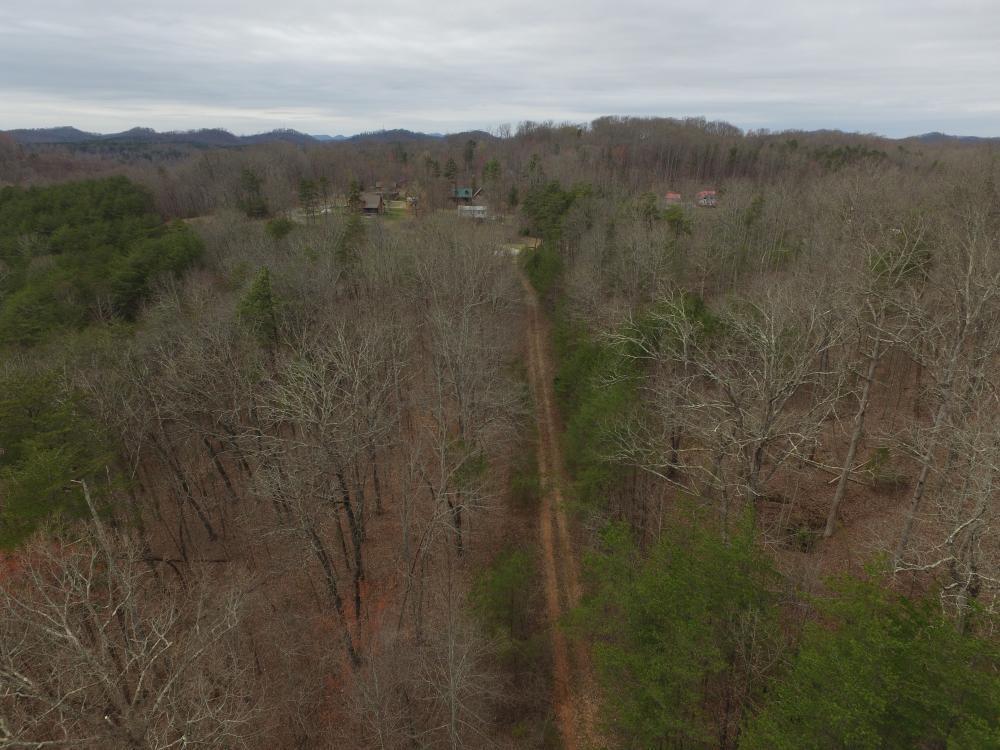 0 Reagan Valley Road Tellico Plains, TN 37385 - Photo 8 of 15 listing1041759photo1469540