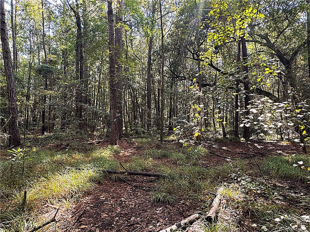 Lot D Dove Park Road Covington, LA 70433 - Photo 5 of 7