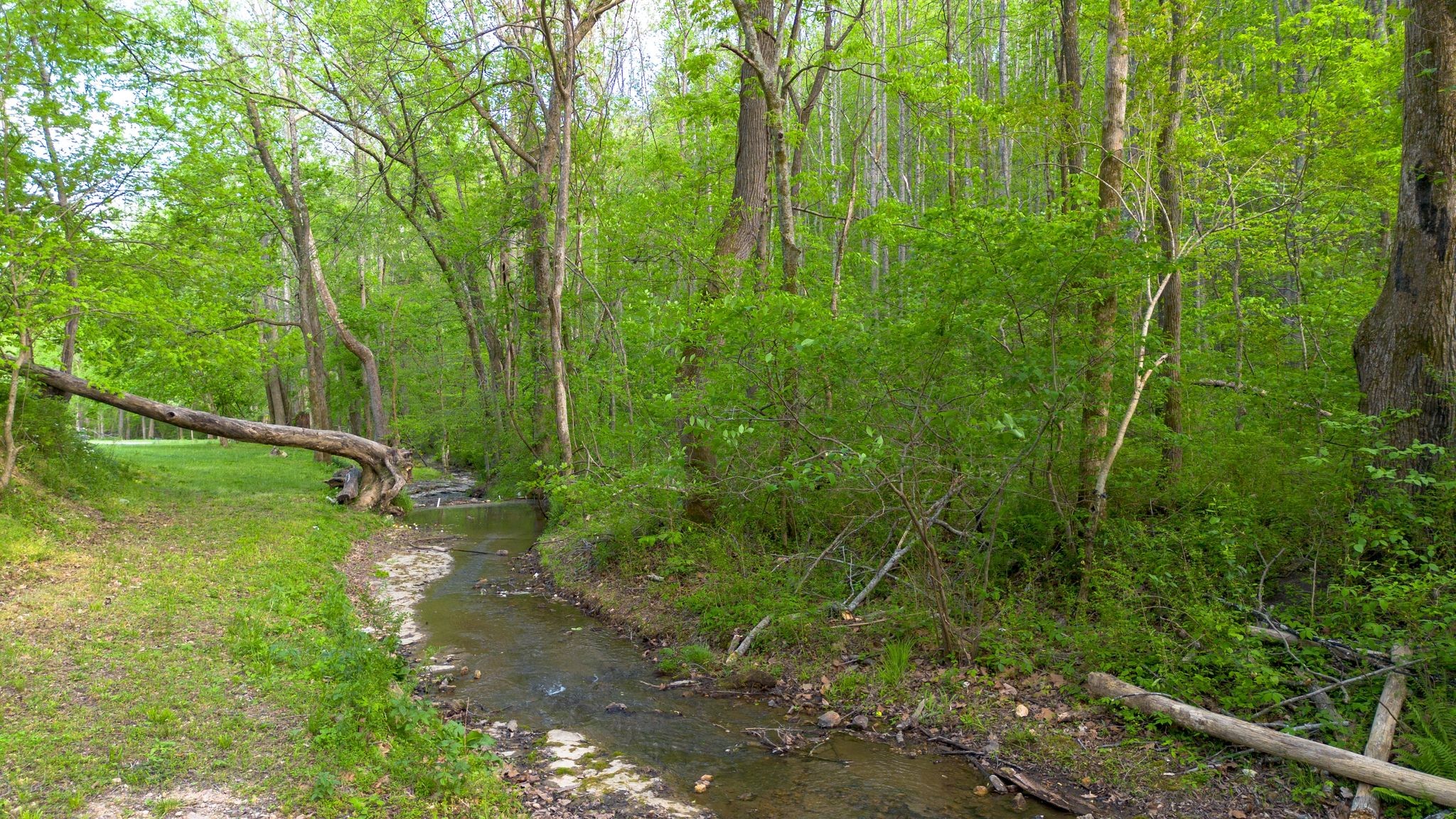4805 Love Branch Road Hampshire, TN 38461 - Photo 25 of 31